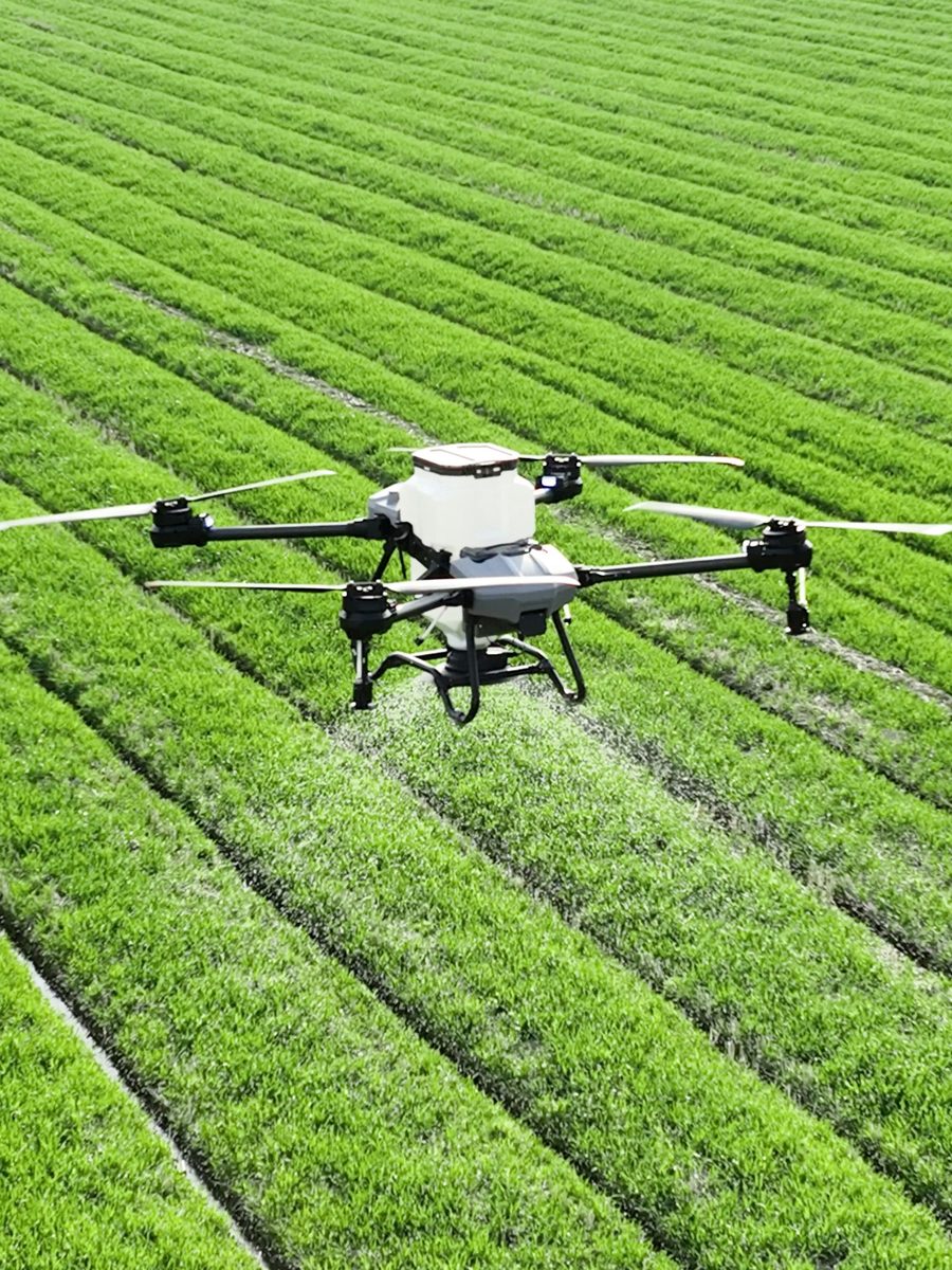 How we grow: sustainable farming and food