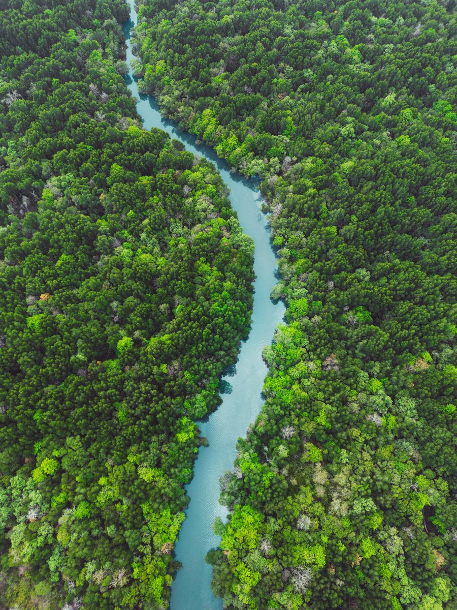 How we preserve: nature as an asset, not a liability